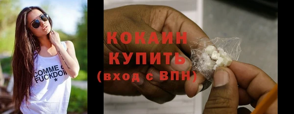 дживик Няндома
