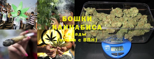прущие грибы Алексеевка