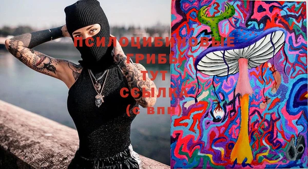 прущие грибы Алексеевка